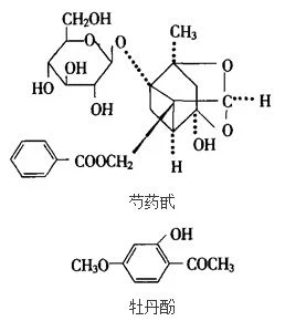 product-258-290 product-258-290