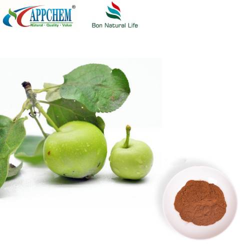 Apple Polyphenols Powder UV70% מוצר פטנט