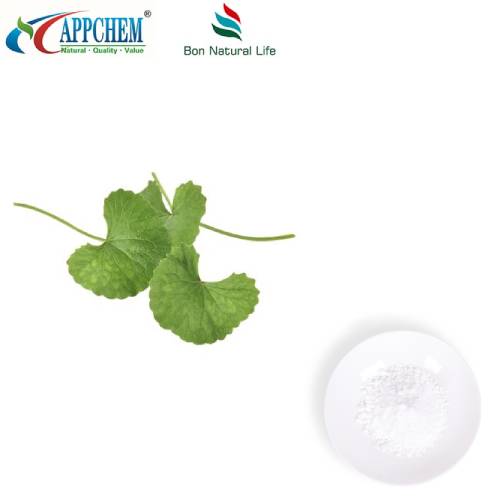 אבקת תמצית Centella Asiatica