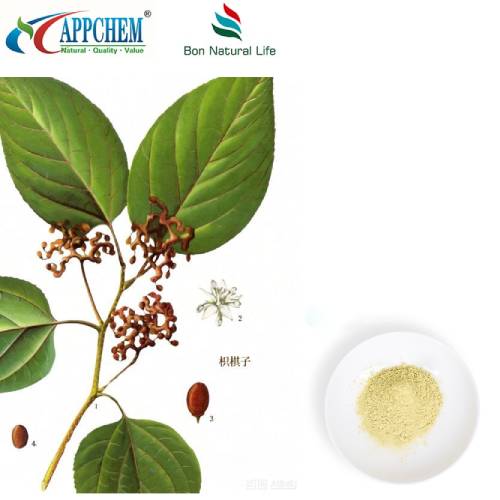 אבקת תמצית Hovenia Dulcis