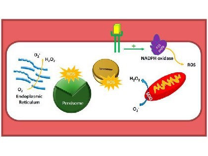 info-420-315 info-420-315