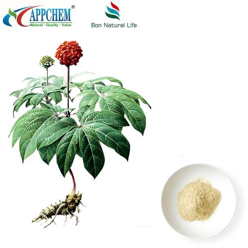 תמצית Notoginseng Radix Et Rhizoma