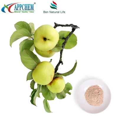 נתוני בדיקת HPLC 90% Phlorizin אבקת