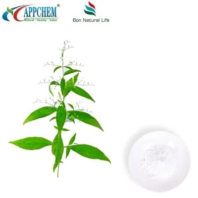 Andrographis Paniculata תמצית Andrographolide