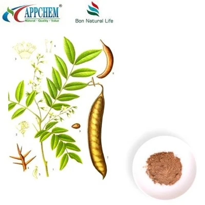 תמצית Cassia Nomame